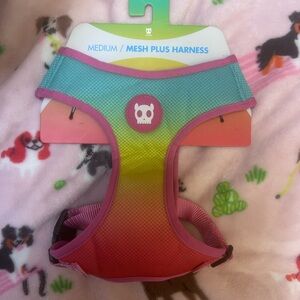 Vibrant Pink and Green Mesh Dog Harness